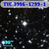 TYC 3986-1299-1