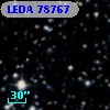 LEDA   78767