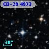 CD-29  4873