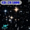 CD-29  5000