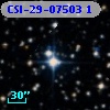 CSI-29-07503  1
