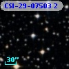 CSI-29-07503  2