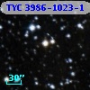 TYC 3986-1023-1
