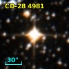 CD-28  4981