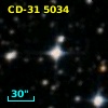 CD-31  5034