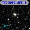 TYC 3990-955-1