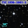 TYC 3990-1001-1