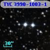 TYC 3990-1003-1