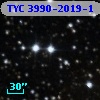 TYC 3990-2019-1