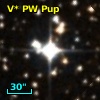 V* PW Pup