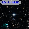 CD-31  4996