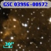 GSC 03986-00872