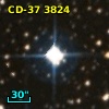 CD-37  3824