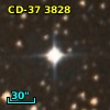 CD-37  3828