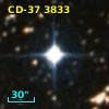 CD-37  3833