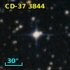 CD-37  3844