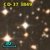 CD-37  3849