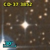 CD-37  3852