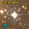 CD-37  3853