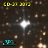 CD-37  3873