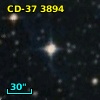 CD-37  3894