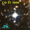 CD-37  3896