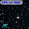 CPD-37  1607