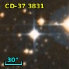 CD-37  3831