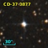CD-37  3877