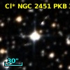 Cl* NGC 2451    PKB    3391