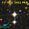 Cl* NGC 2451    PKB    1256