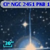 Cl* NGC 2451    PKB    1490