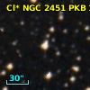 Cl* NGC 2451    PKB    1294