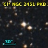 Cl* NGC 2451    PKB    1315
