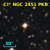 Cl* NGC 2451    PKB    1517