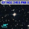 Cl* NGC 2451    PKB    1611
