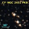 Cl* NGC 2451    PKB    2030
