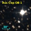 Ass Cep OB   1-