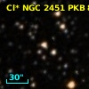 Cl* NGC 2451    PKB    8381