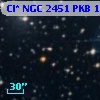Cl* NGC 2451    PKB    1205