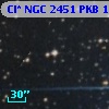 Cl* NGC 2451    PKB    1866