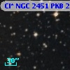 Cl* NGC 2451    PKB    2262