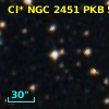 Cl* NGC 2451    PKB    5229