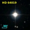 HD  64019