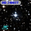 HD 240077