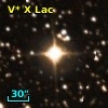 V* X Lac