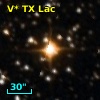 V* TX Lac