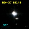 BD+37  1814B
