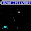FIRST J080117.4+364645