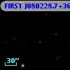 FIRST J080228.7+363206